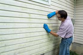 Best Vinyl Siding Installation  in Elsberry, MO